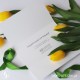 Подарочный сертификат с вкладышем