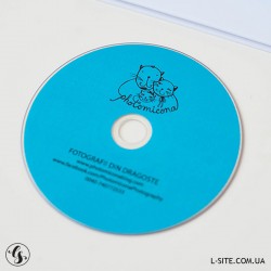 DVD-R диски